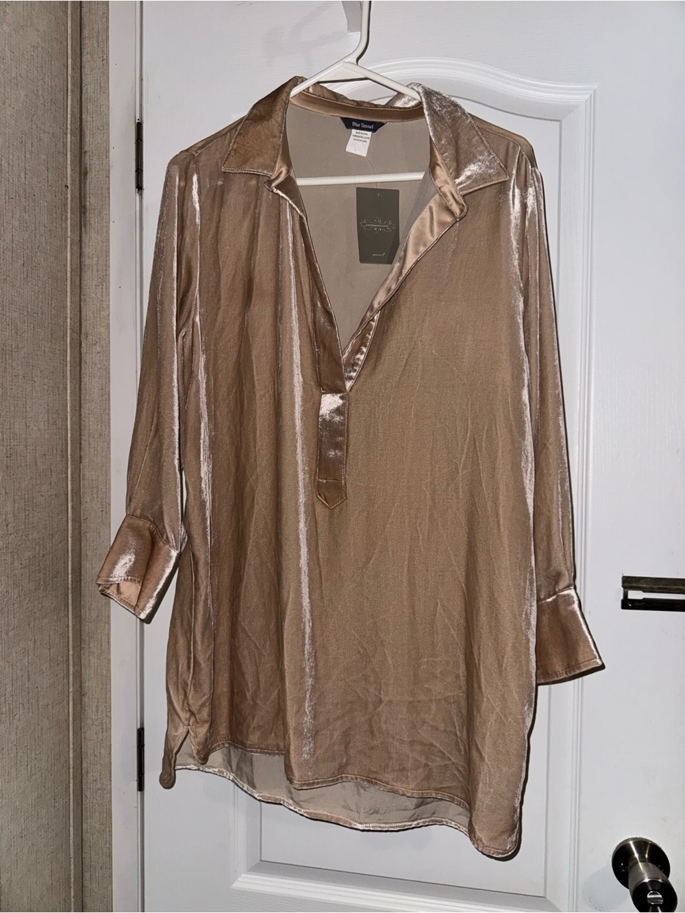 Anthropologie Sheer Tunic/blouse in Champagne Taupe